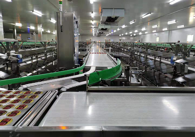 德泰克×某知名生鮮品牌 | 生鮮輸送分揀線