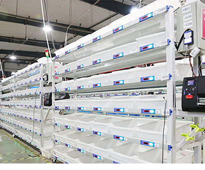 DPS電子標簽揀選系統(tǒng)