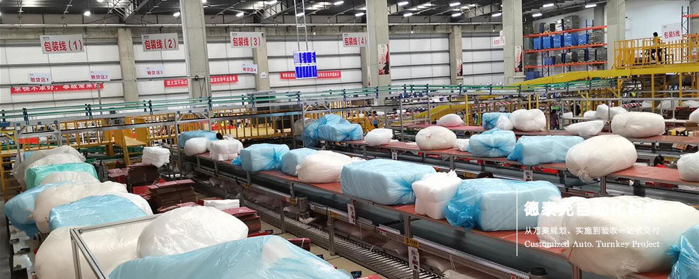 德泰克日化品自動打包發(fā)貨線.jpg